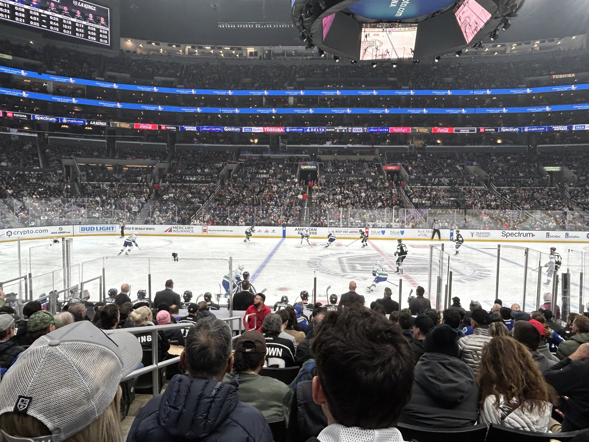 Professional Leagues & Sports Teams